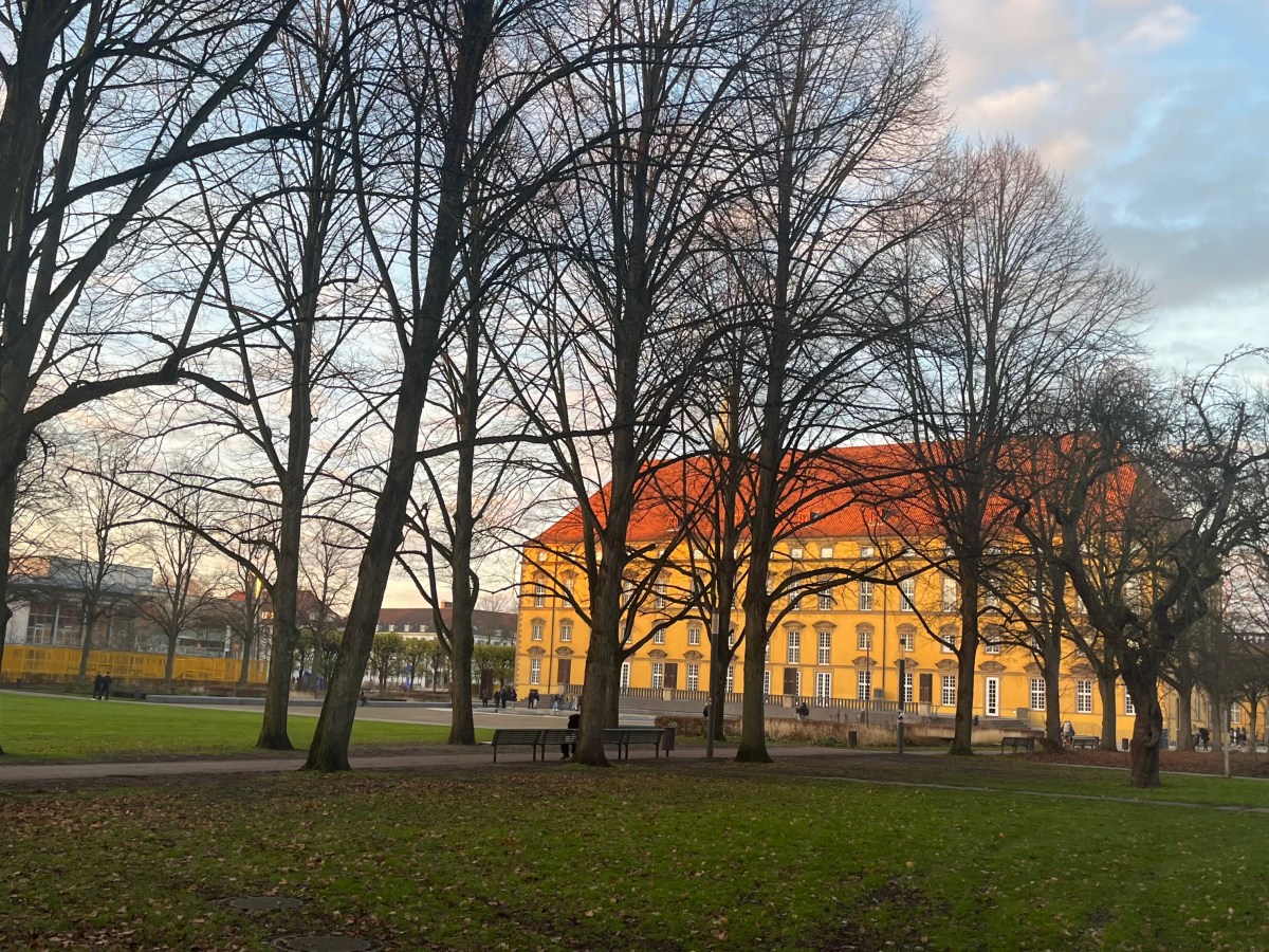 Schlossgarten nach der Razzia: Ein Stimmungsbild vom&nbsp;Campus