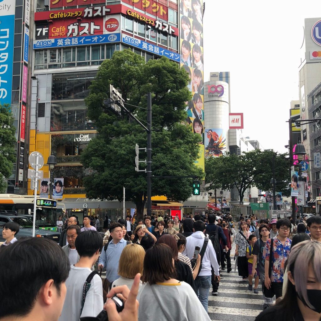 JAPAN im Trend – ein überbewertetes&nbsp;Reiseziel?